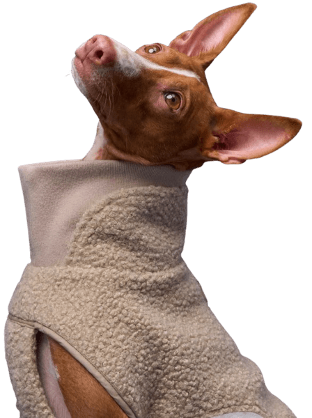 Dog Sweater Gotland Size 4-7 Beige, view: 6