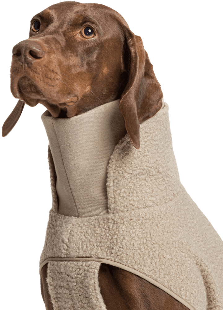 Dog Sweater Gotland Size 4-7 Beige, view: 5