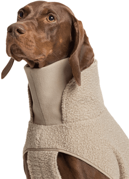 Dog Sweater Gotland Size 4-7 Beige, view: 5