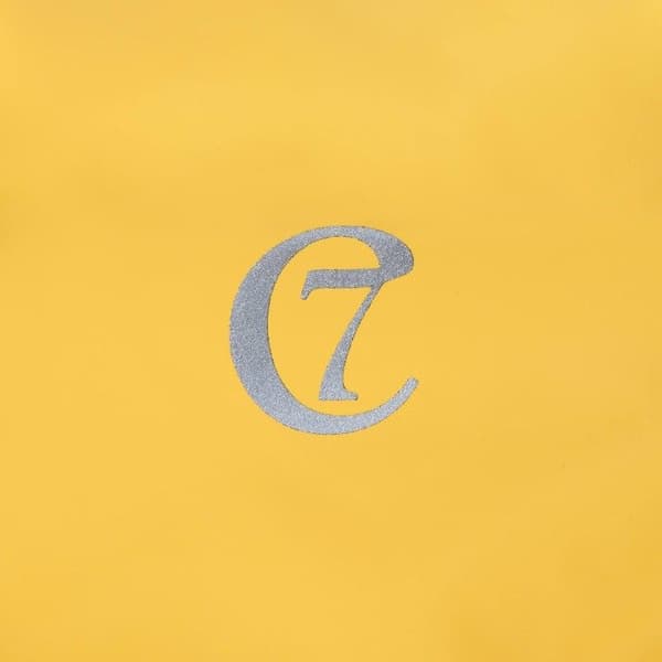 Hamburg Dog Raincoat strl 4-5 Saffron, view: 2