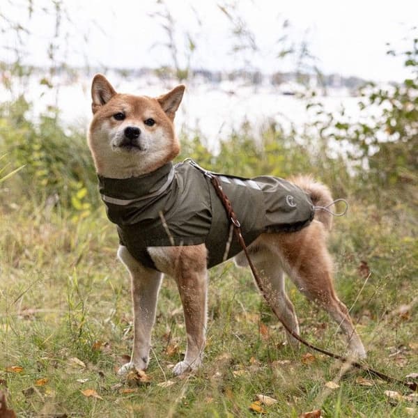 Hamburg Dog Raincoat strl 4-5 Moss Green, view: 1