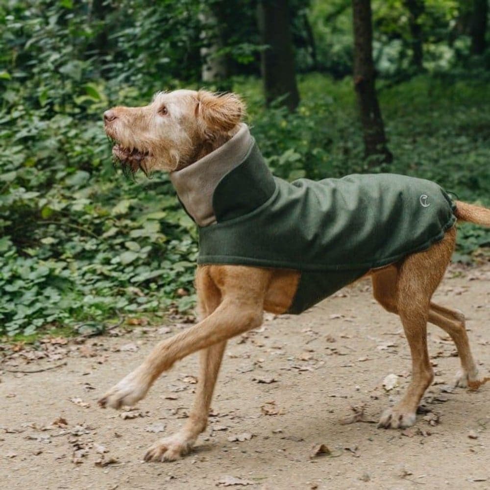 Brooklyn Dog Coat Flannel strl 6-10 Fern Green, view: 1