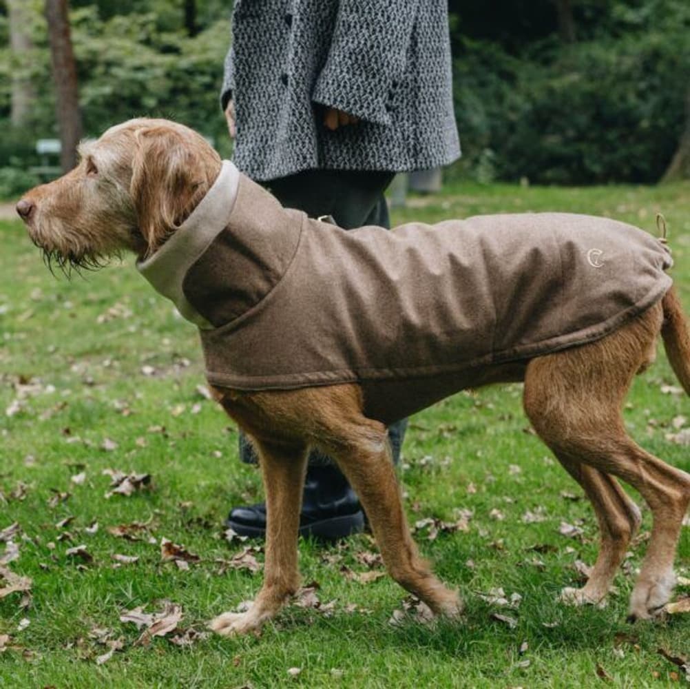 Brooklyn Dog Coat Flannel strl 6-10 Hazel, view: 1