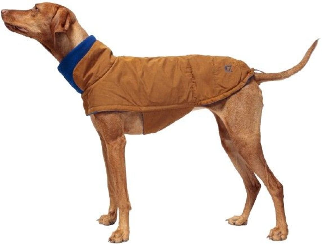 Dog Coat Brooklyn Waxed Cotton size 3-5 Curry, view: 1