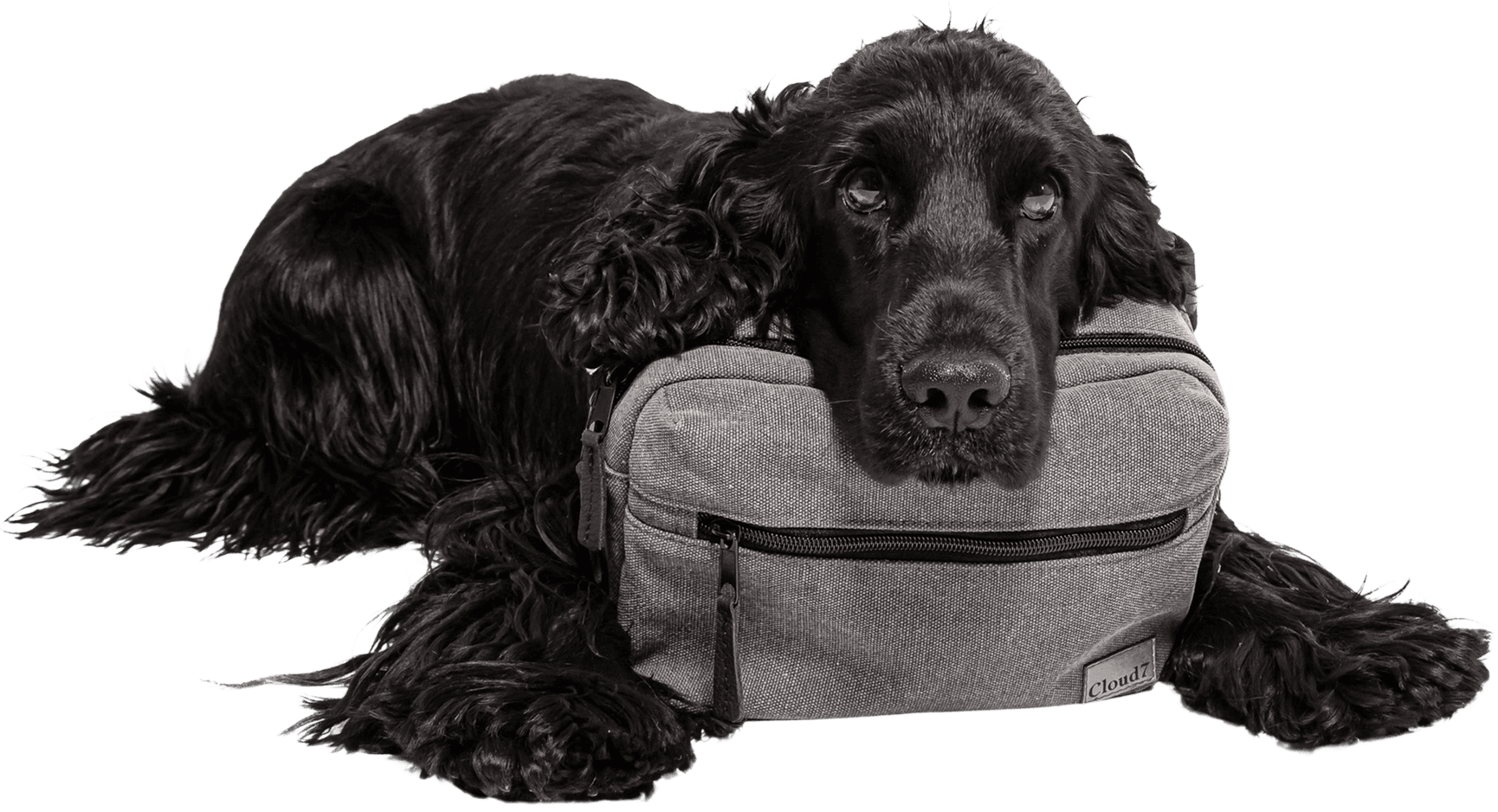 Belt Bag Basalt, view: 4