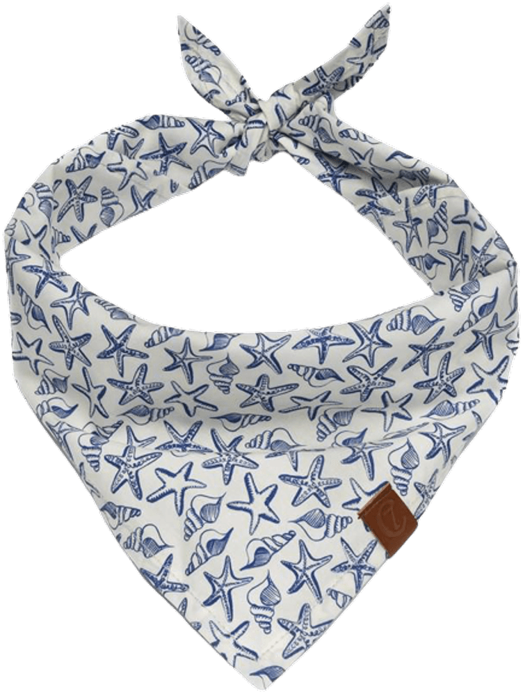 Bandana M Sea Stars, view: 0