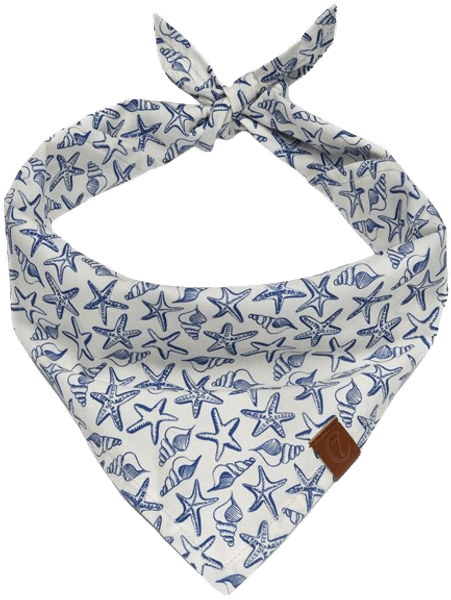 Bandana S Sea Stars, view: 0