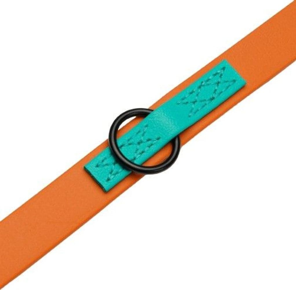 Dog Leash L Ipanema Orange, view: 1