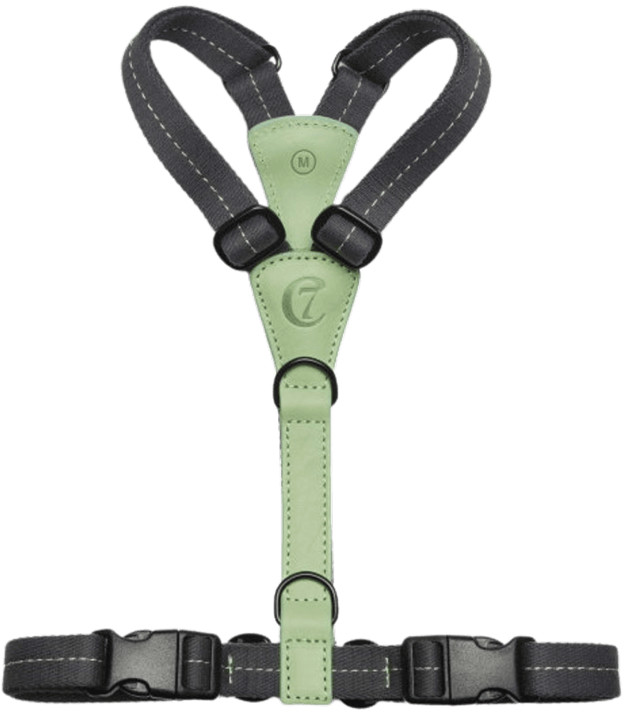 Harness M-L Madeira Mint, view: 1
