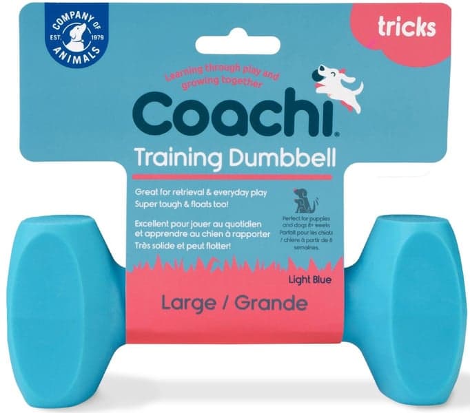 Training Dumbbell Light Blue Large, view: 1