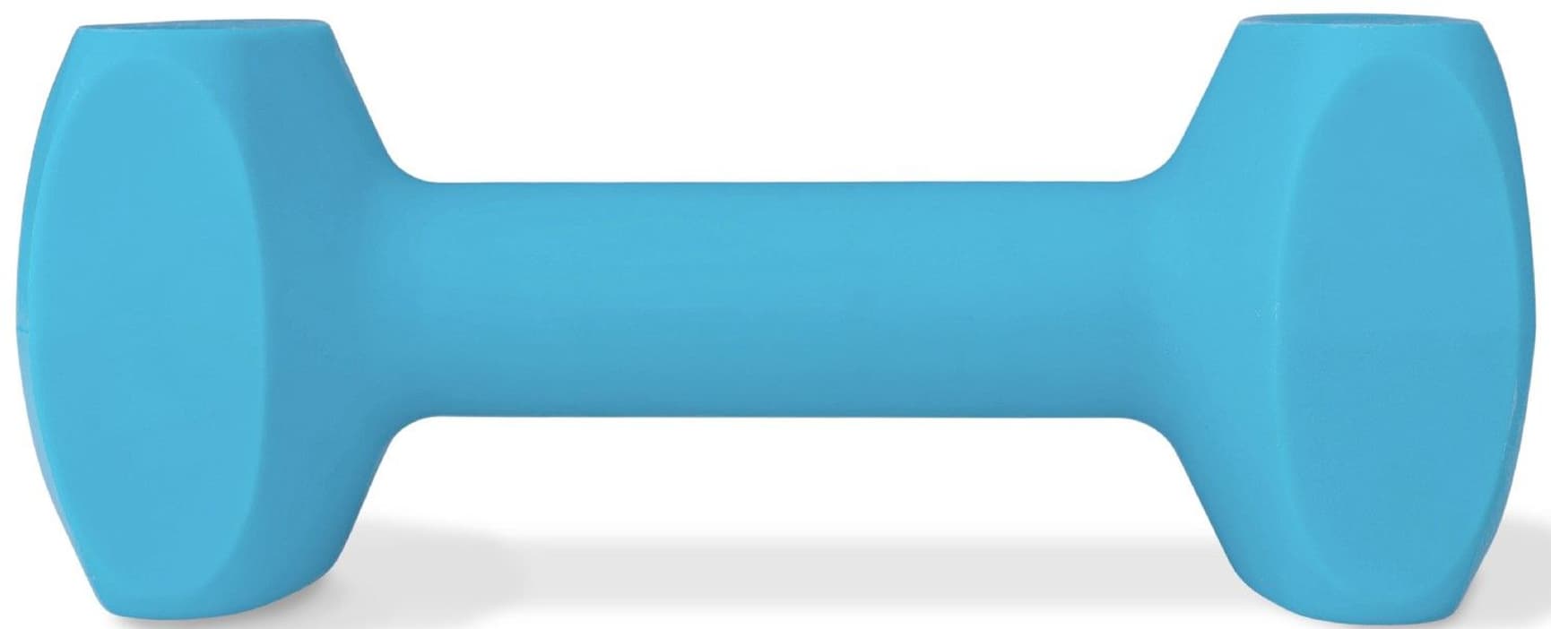 Training Dumbbell Light Blue Large, view: 0