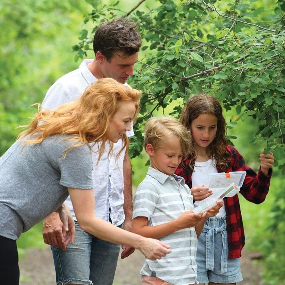 Scavenger Hunt, view: 2