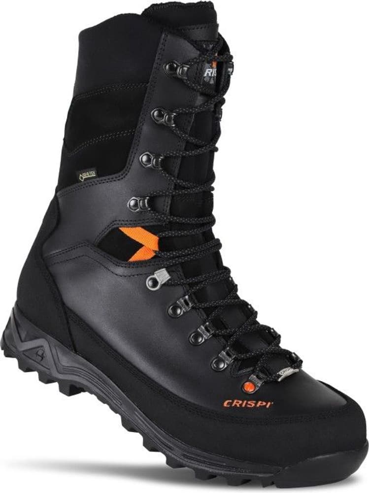 Ranger GTX Unisex Black, view: 0