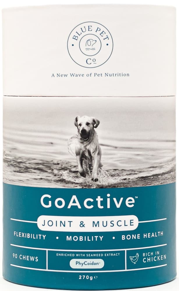 GoActive Leder & Rörlighet 90 bitar Kyckling, view: 0