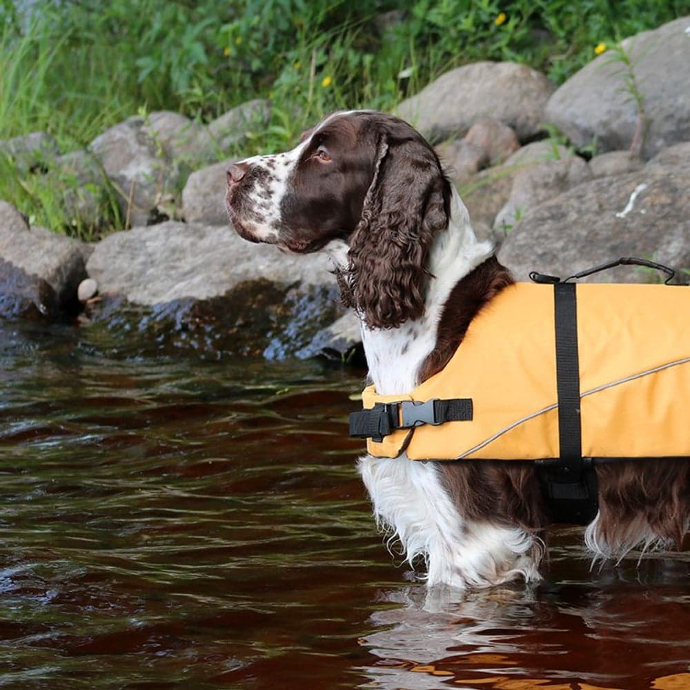 Life Jacket L, view: 3