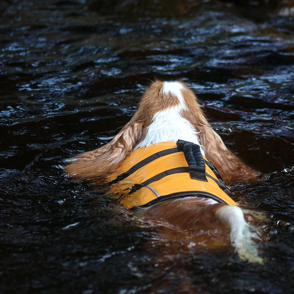 Life Jacket S, view: 4