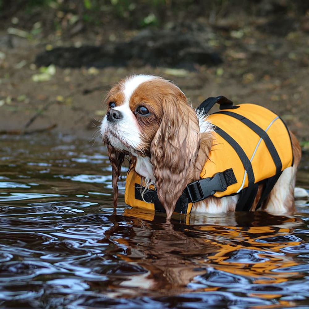 Life Jacket S, view: 3