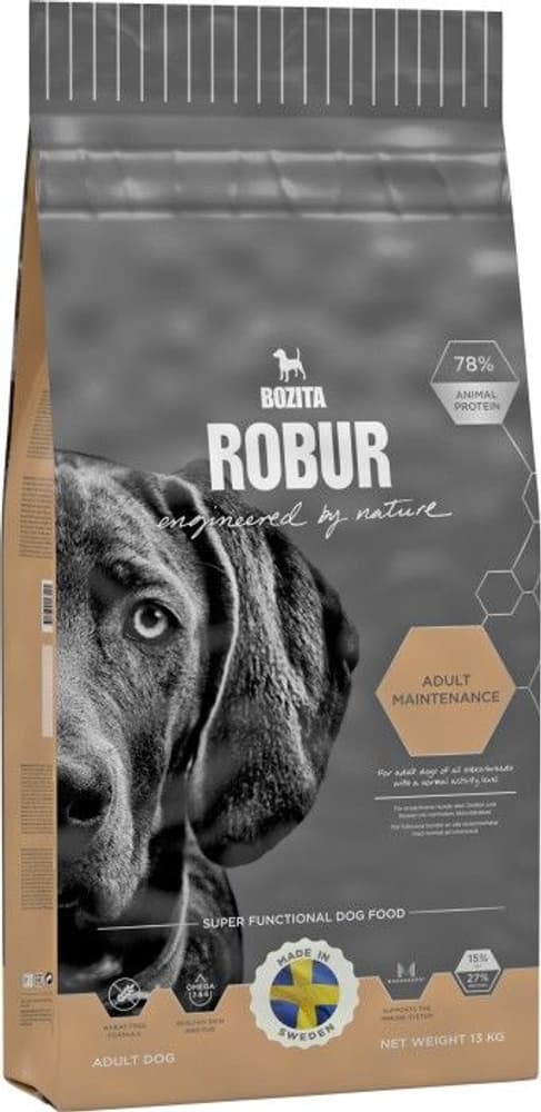 Robur Adult Maintenance 13 kg, view: 0