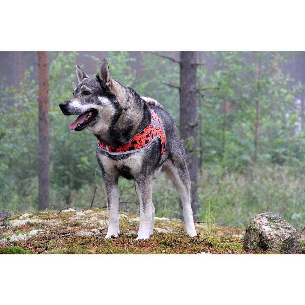 Rokka Reflective Vest, view: 2
