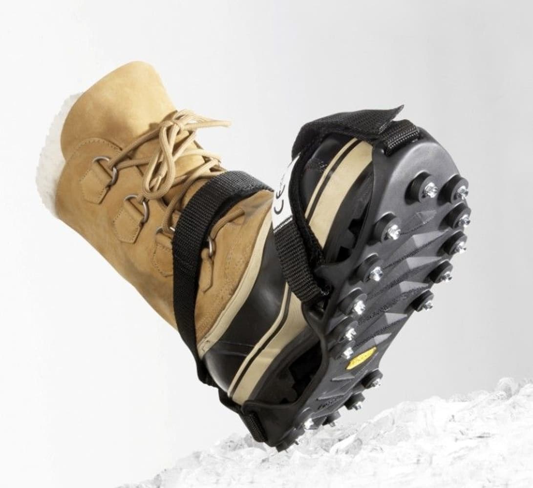 Super Sole/Icer´s Dubbsula Herr, view: 0