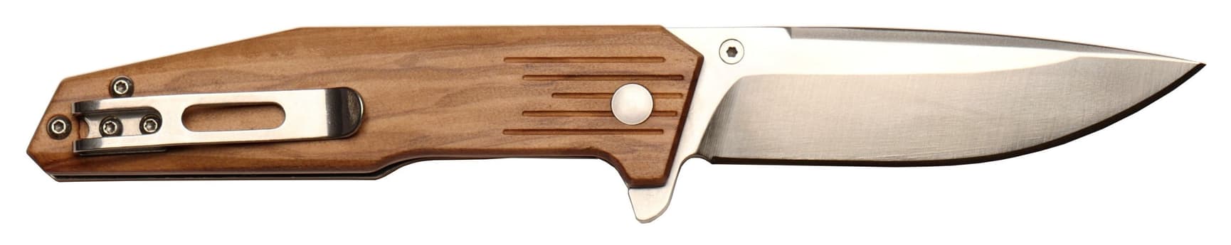 Reisa Olive, view: 0