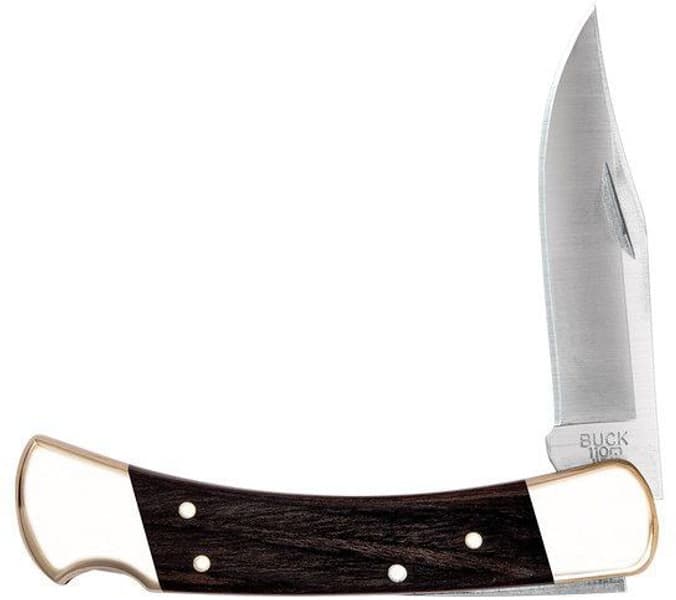 Buck 110 Folding Hunter, view: 3