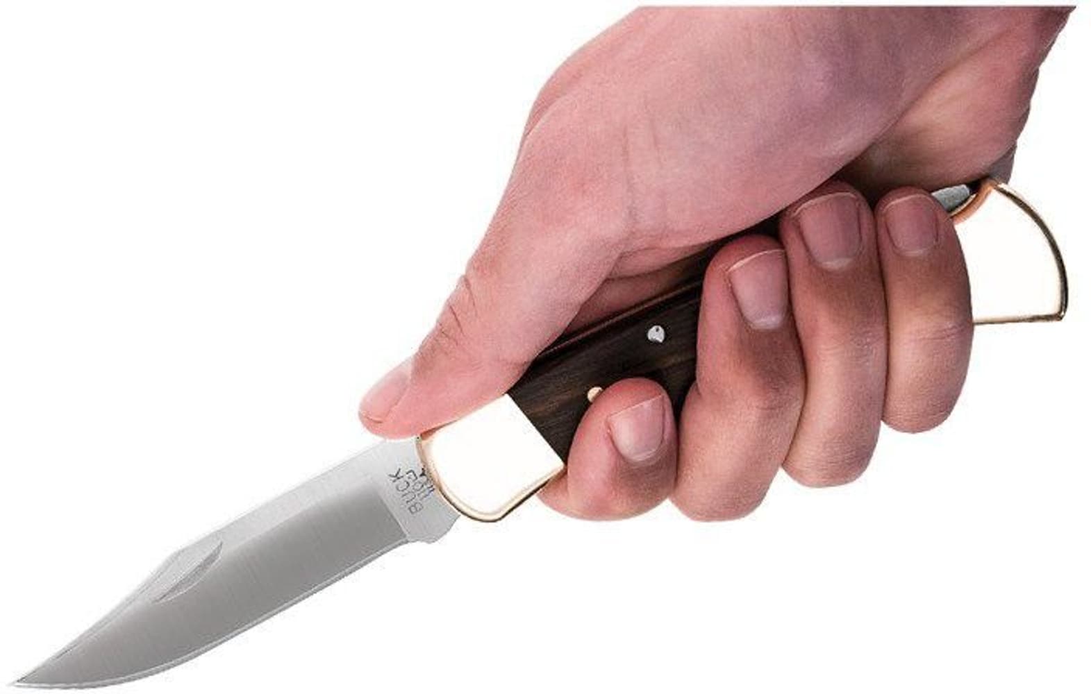 Buck 110 Folding Hunter, view: 1