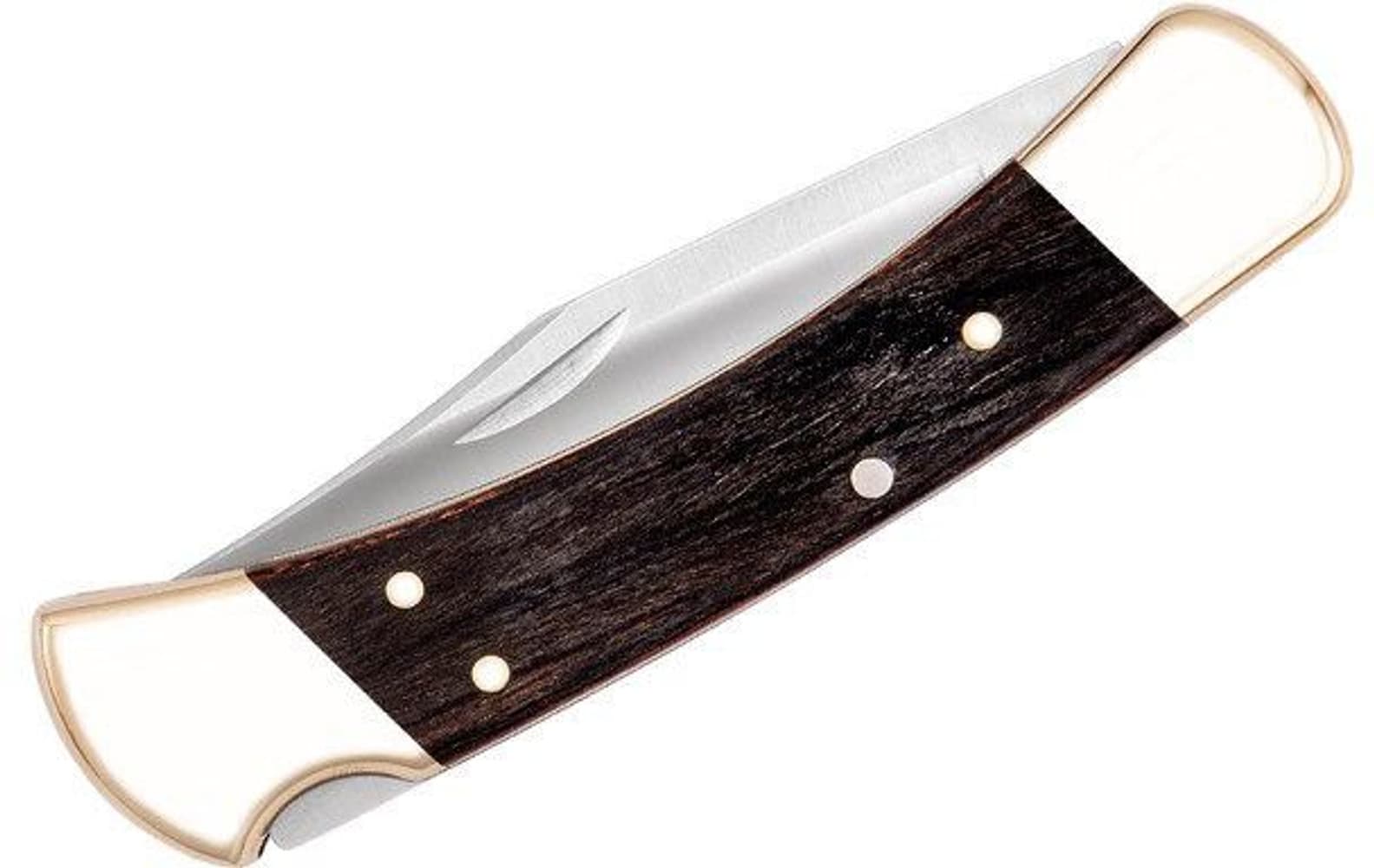 Buck 110 Folding Hunter, view: 4