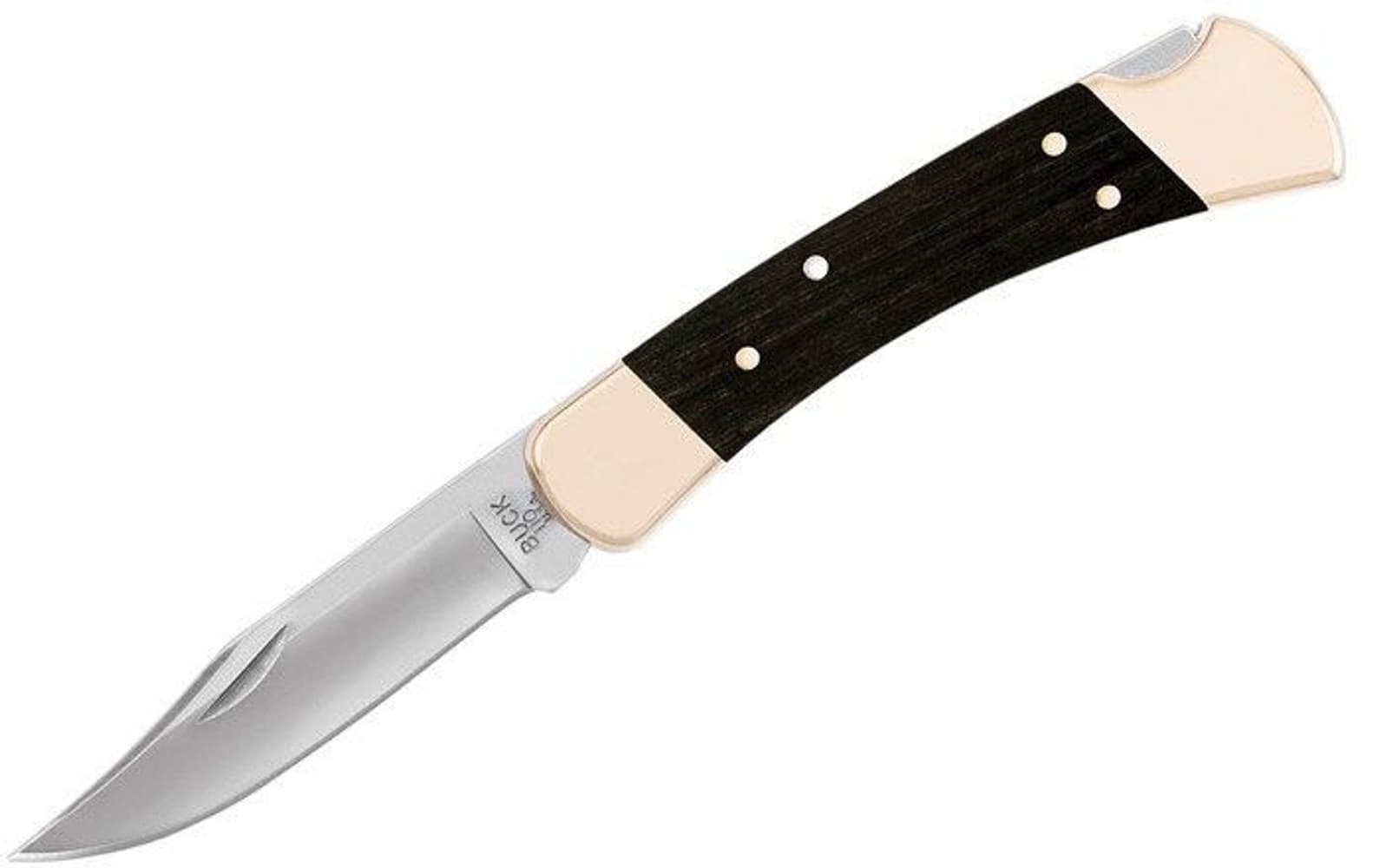 Buck 110 Folding Hunter, view: 0