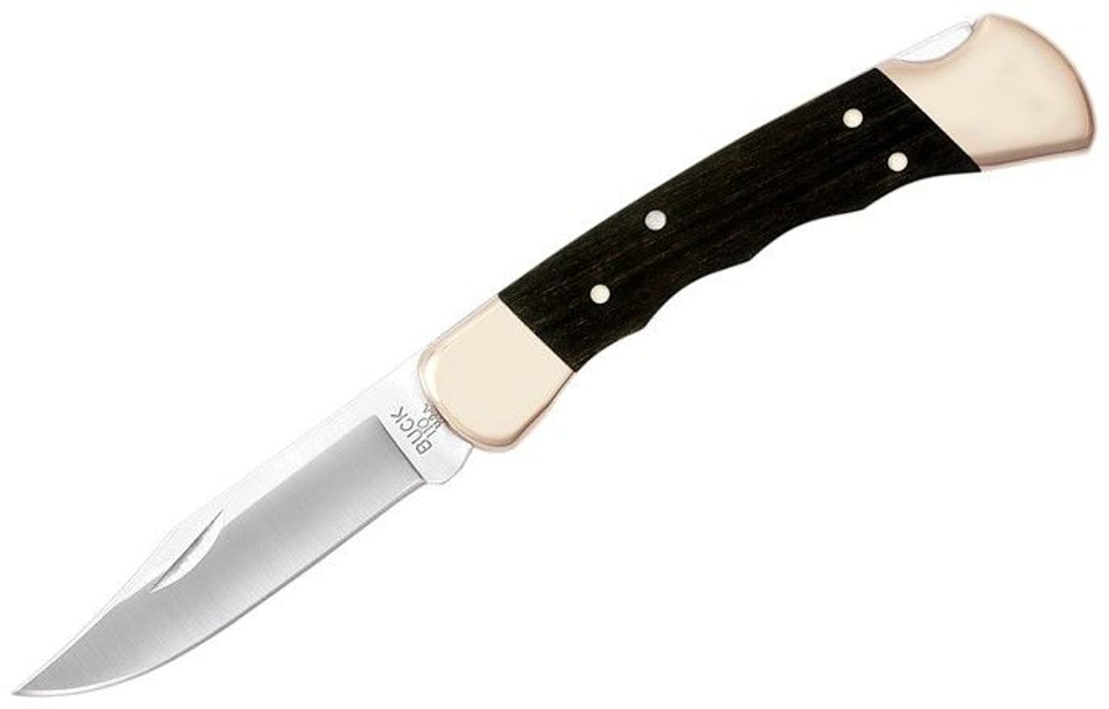 Buck 110FG: Folding Hunter, view: 0