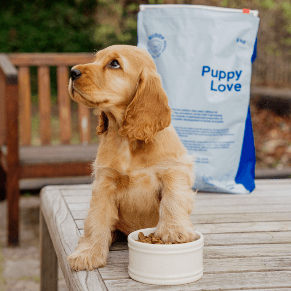 Puppy Love 2 kg, view: 1