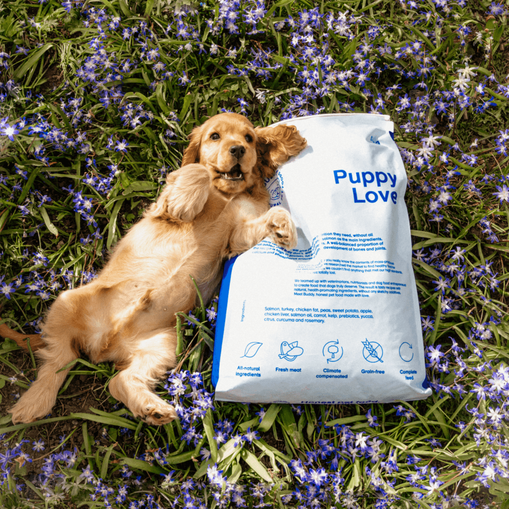 Puppy Love 5 kg, view: 2