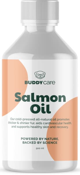 Care Salmon Oil 500ml, view: 0