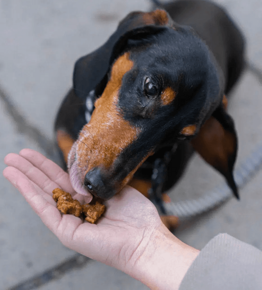 Training Snacks Beef 100 g, view: 1