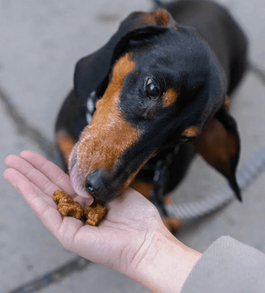 Training Snacks Beef 100 g, view: 1