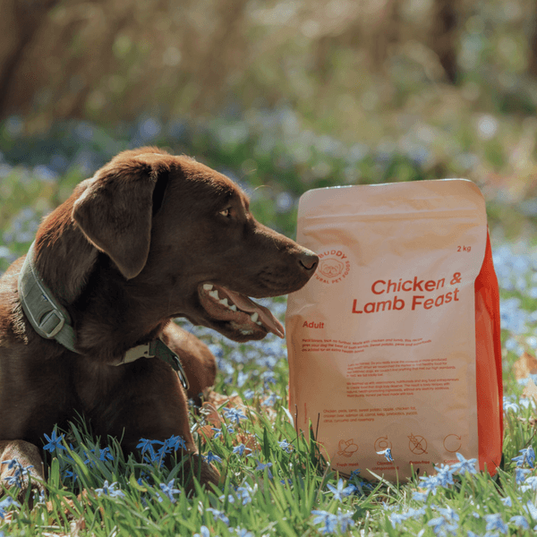 Chicken & Lamb Feast 12 kg, view: 2