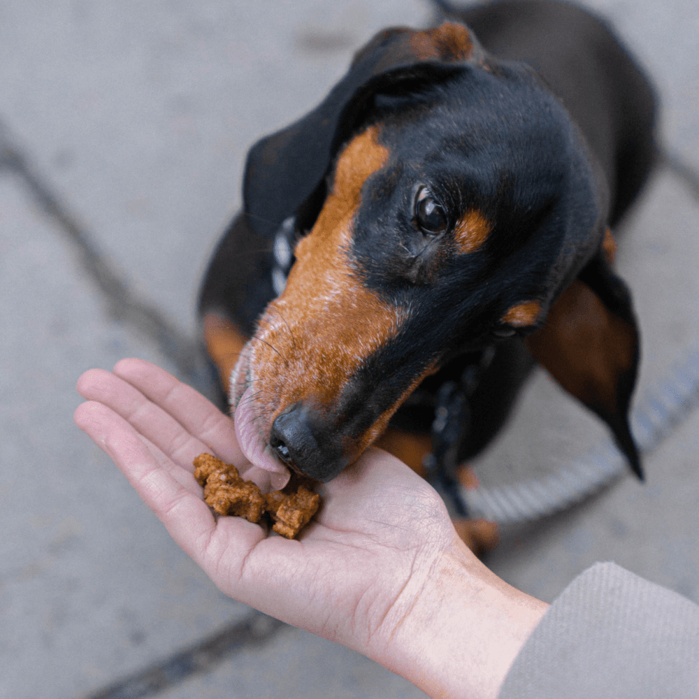 Beef Training Snack 1 kg, view: 3