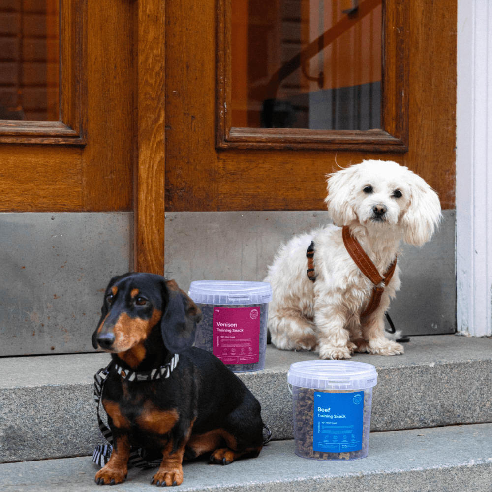 Venison Training Snack 1 kg, view: 2