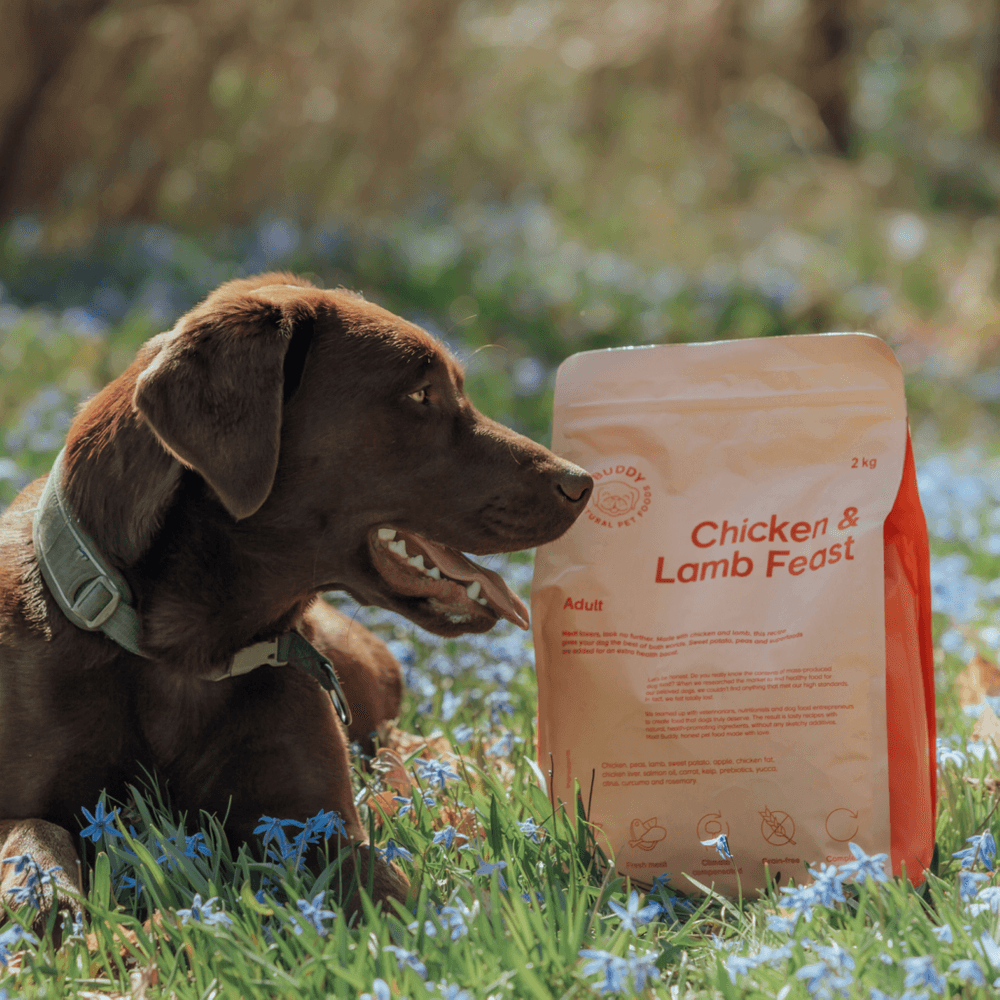 Chicken & Lamb Feast 100 g Sample, view: 2