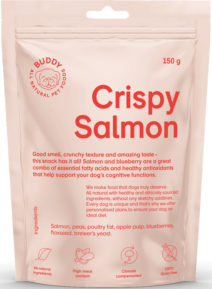 Crunchy Snack Salmon with Blueberries 150 g, view: 0