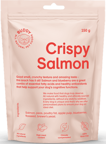 Crunchy Snack Salmon with Blueberries 150 g, view: 0