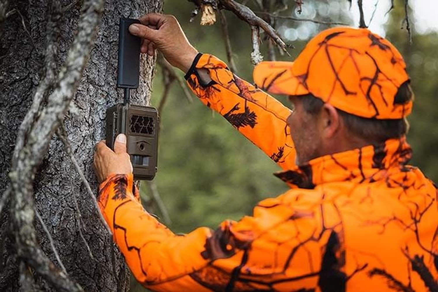 S12 HD+SMS Pro (+), view: 2