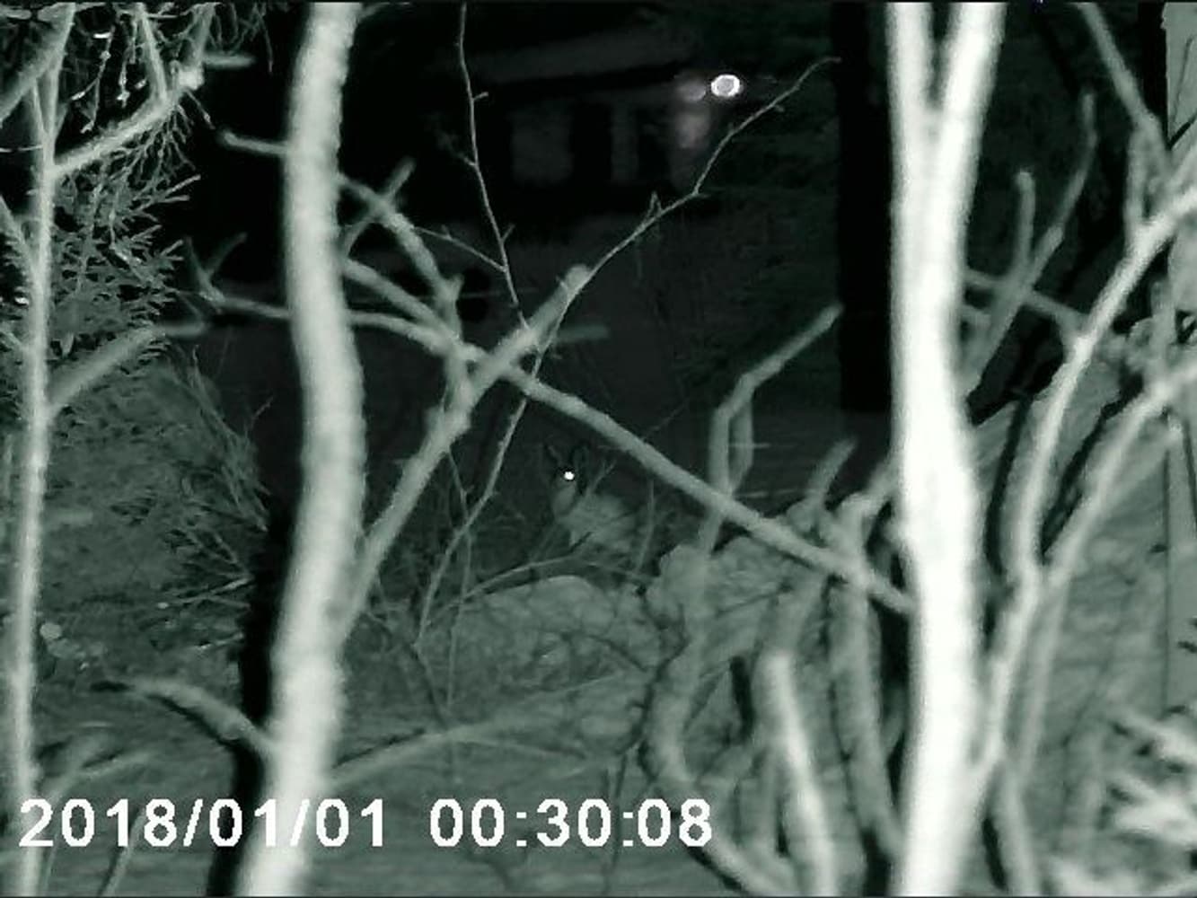 NV-400 Nattkikare, view: 7