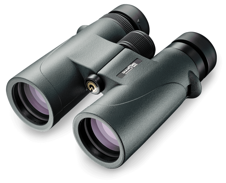 Diamond-Mag 10x42ED, view: 0