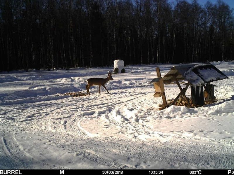 Edge HD+3G Sändande, view: 3