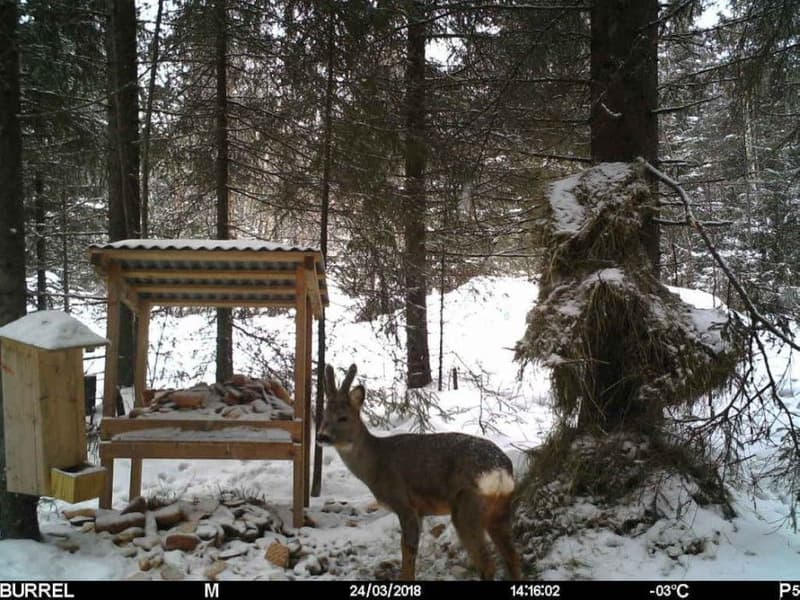 Edge HD+3G Sändande, view: 1