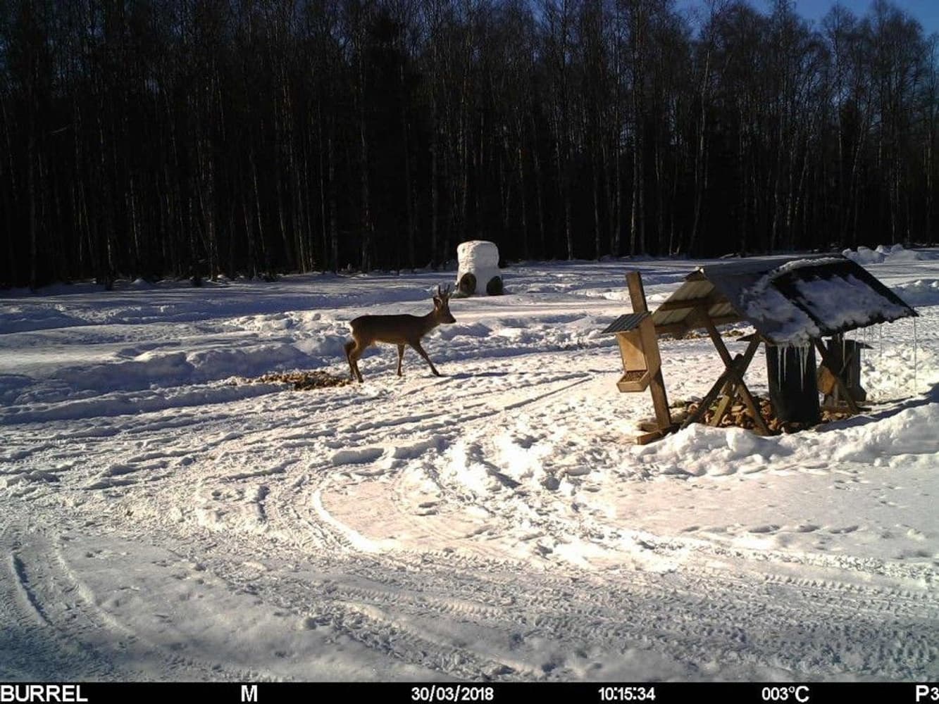 S12 HD+SMS II Sändande, view: 7