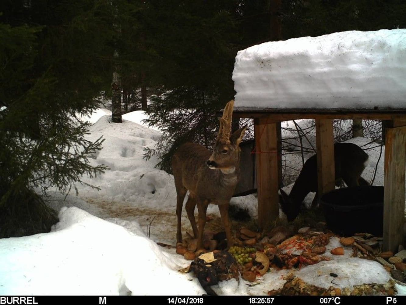 S12 HD+SMS II Sändande, view: 5