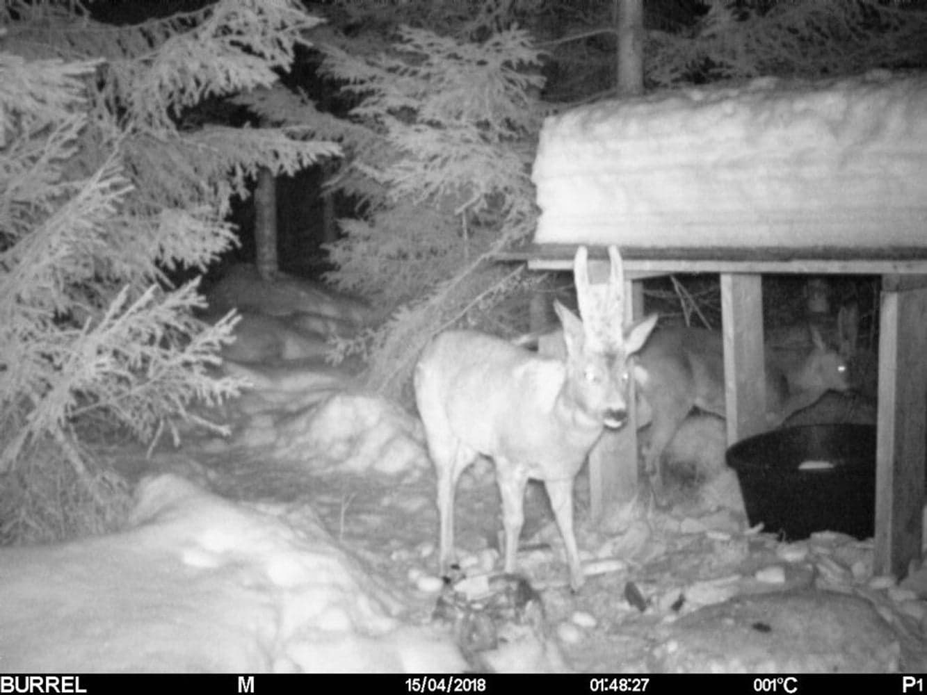 S12 HD+SMS II Sändande, view: 8