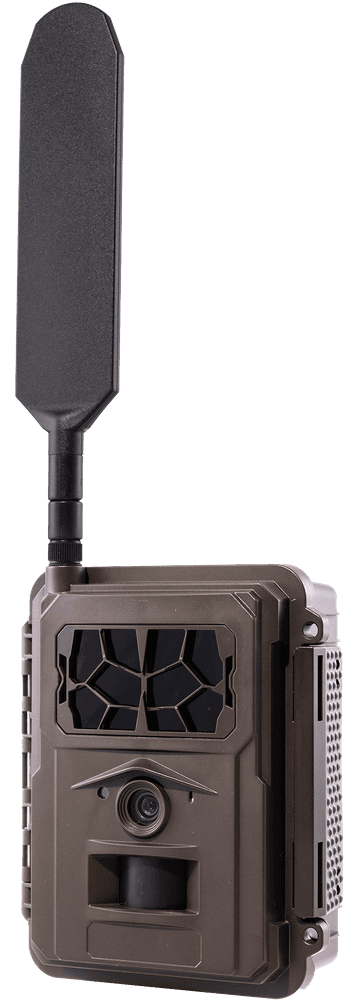 E24 Global Trail Camera, view: 2